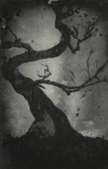 Biancuzzi - photogravure