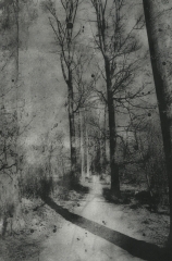 Biancuzzi - photogravure