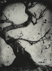 Biancuzzi - photogravure