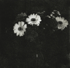 Biancuzzi - photogravure