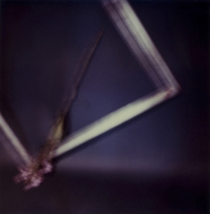 Biancuzzi - L'instant P - Polaroid