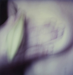 Biancuzzi - L'instant P - Polaroid