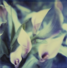 Biancuzzi - L'instant P - Polaroid