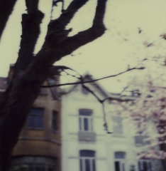 Biancuzzi - L'instant P - Polaroid