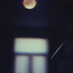 Biancuzzi - L'instant P - Polaroid