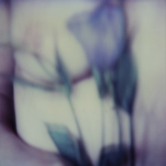 Biancuzzi - L'instant P - Polaroid