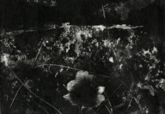 Biancuzzi - Arcane sans nom - photogravure