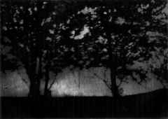Biancuzzi - Arcane sans nom - photogravure