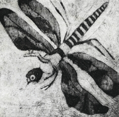 Biancuzzi - Gravure non toxique