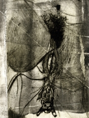 Biancuzzi - Gravure non toxique