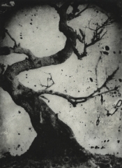 Biancuzzi - Photogravure