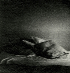 Biancuzzi - Emulsion photo