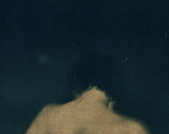 Biancuzzi - Cyanotype viré